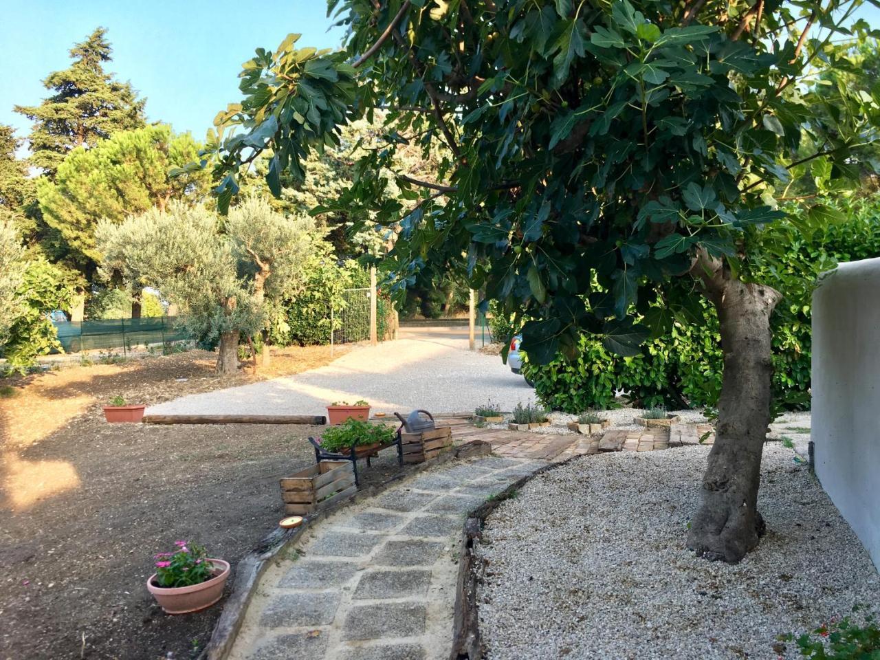 C'Era Una Volta Podere San Giovanni Фосачезия Екстериор снимка