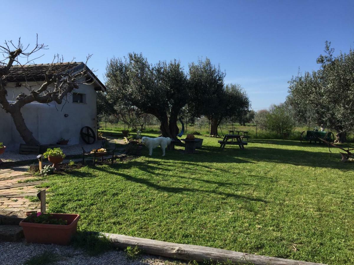 C'Era Una Volta Podere San Giovanni Фосачезия Екстериор снимка